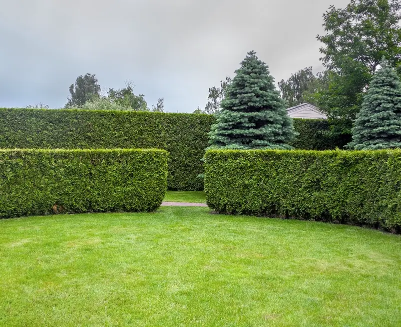 Parcs et jardins