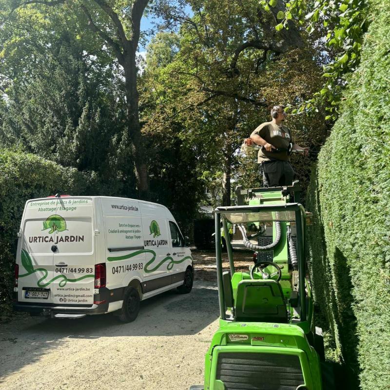 Entretien de jardin 